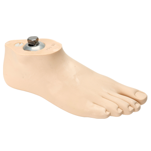 Geriátricos